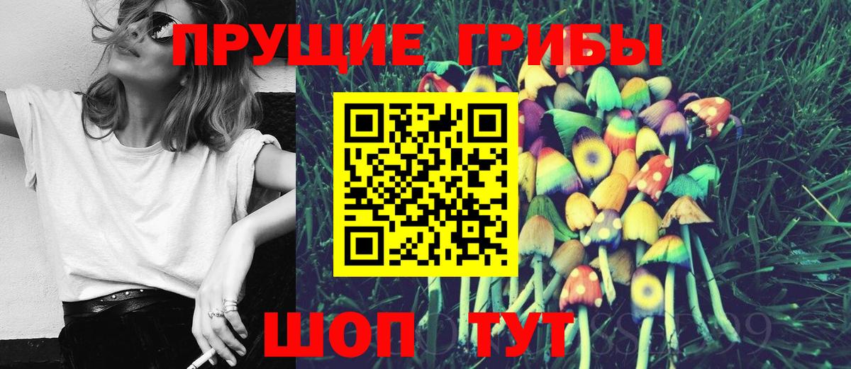 Псилоцибиновые грибы мухоморы Киселёвск