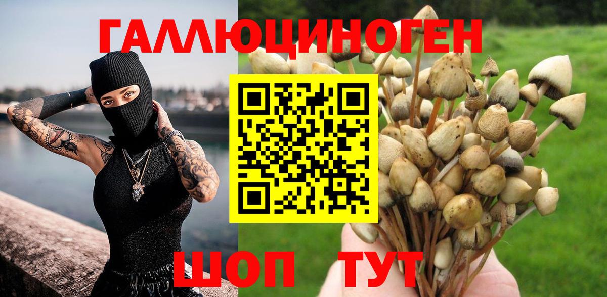 цена   Псилоцибиновые грибы Psilocybe  Вход с VPN  Киселёвск 